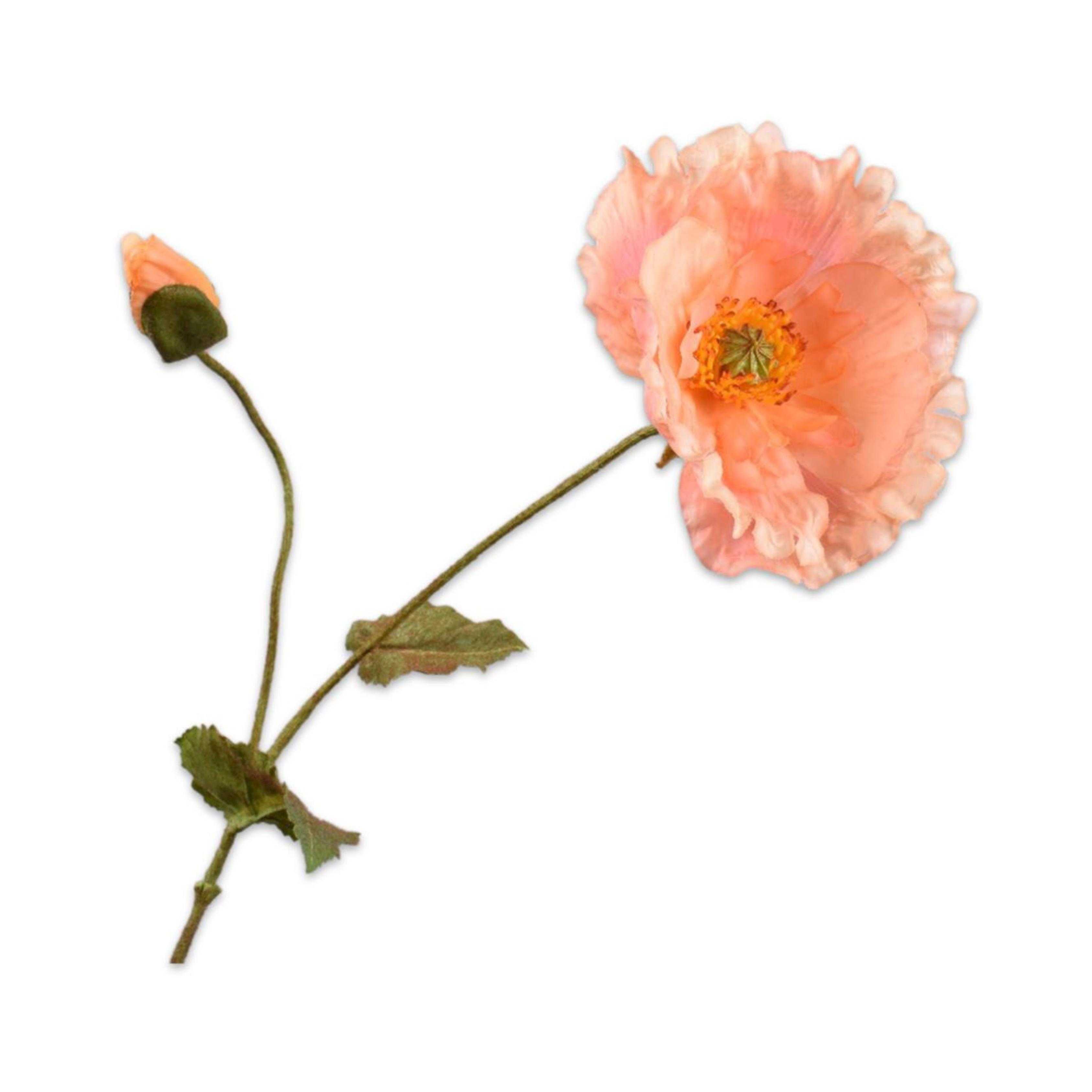 000645000401_HauptbildFreigestellt-1770801356829