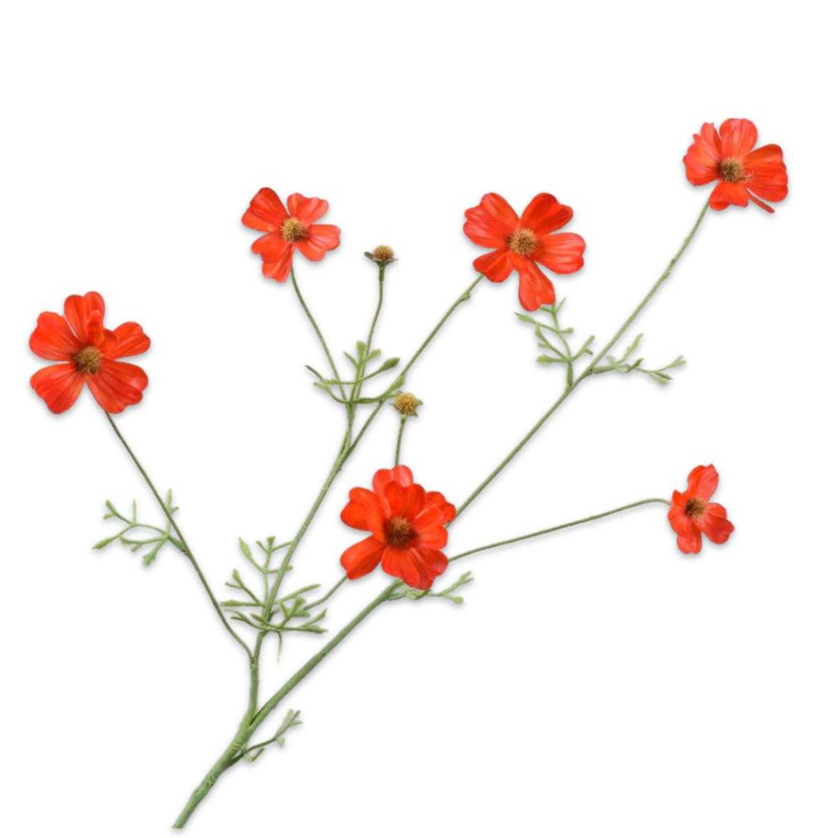 000645000302_HauptbildFreigestellt-1718349285131force=true