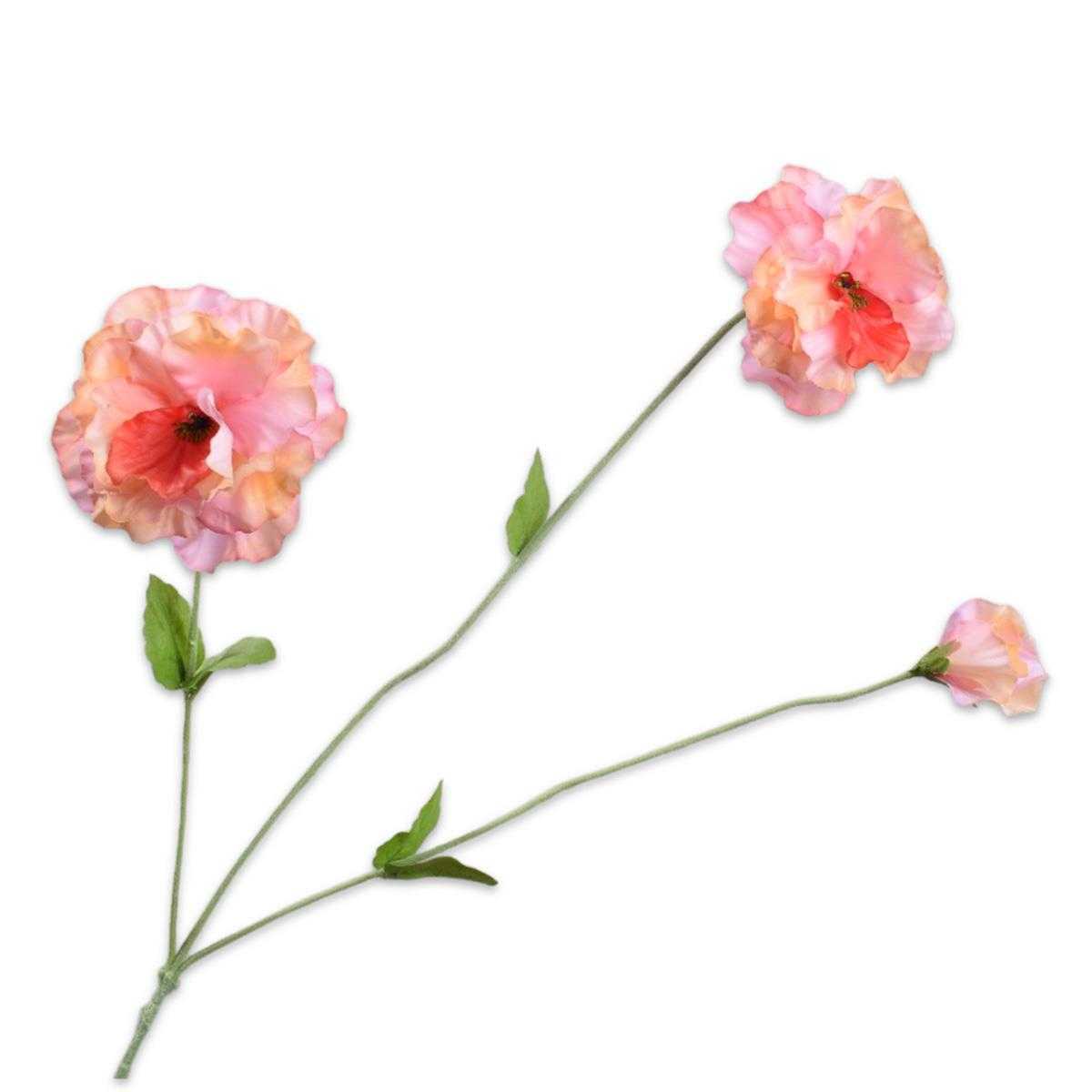 0006450005_HauptbildFreigestellt-1718349287726force=true