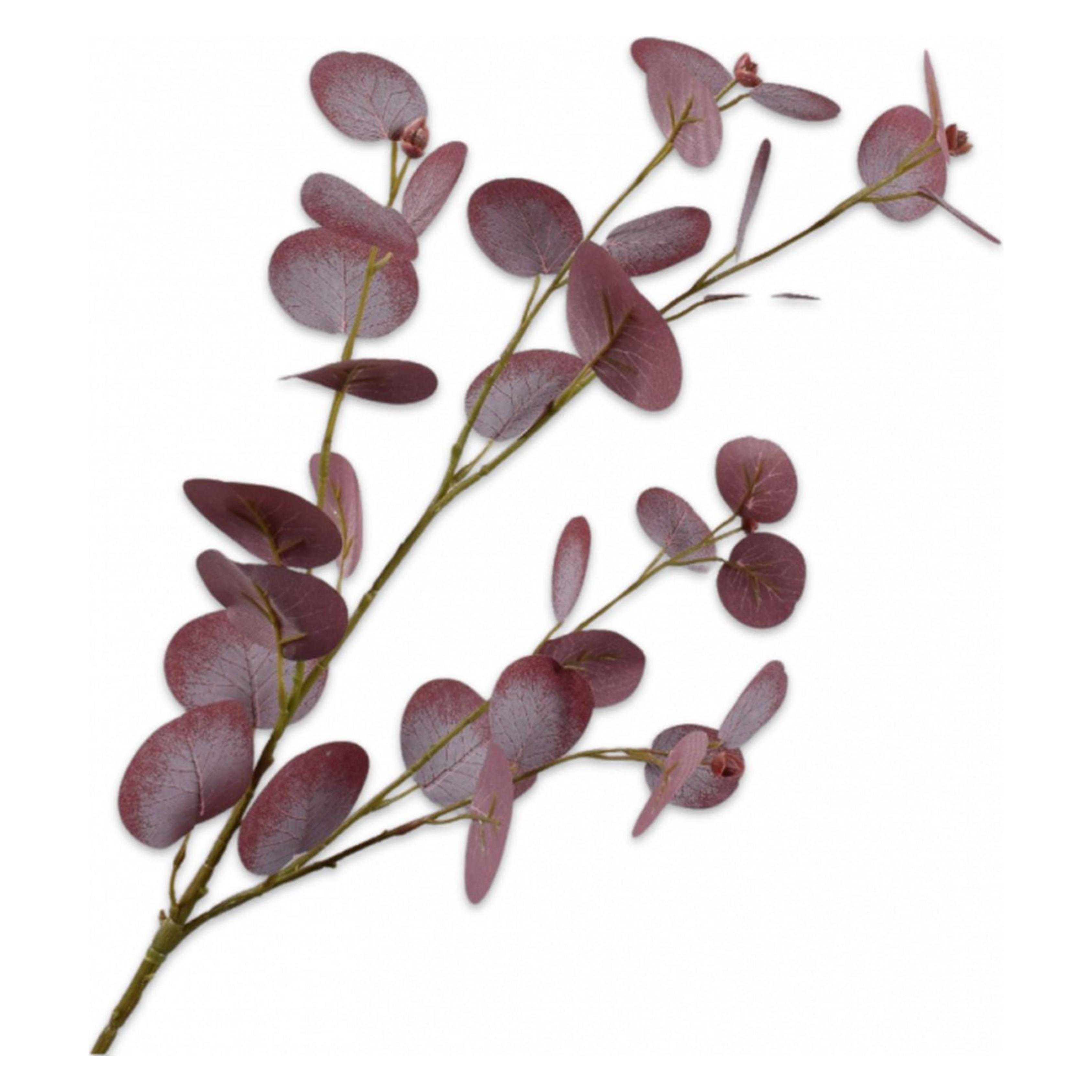 000645000702_HauptbildFreigestellt-1733213897797