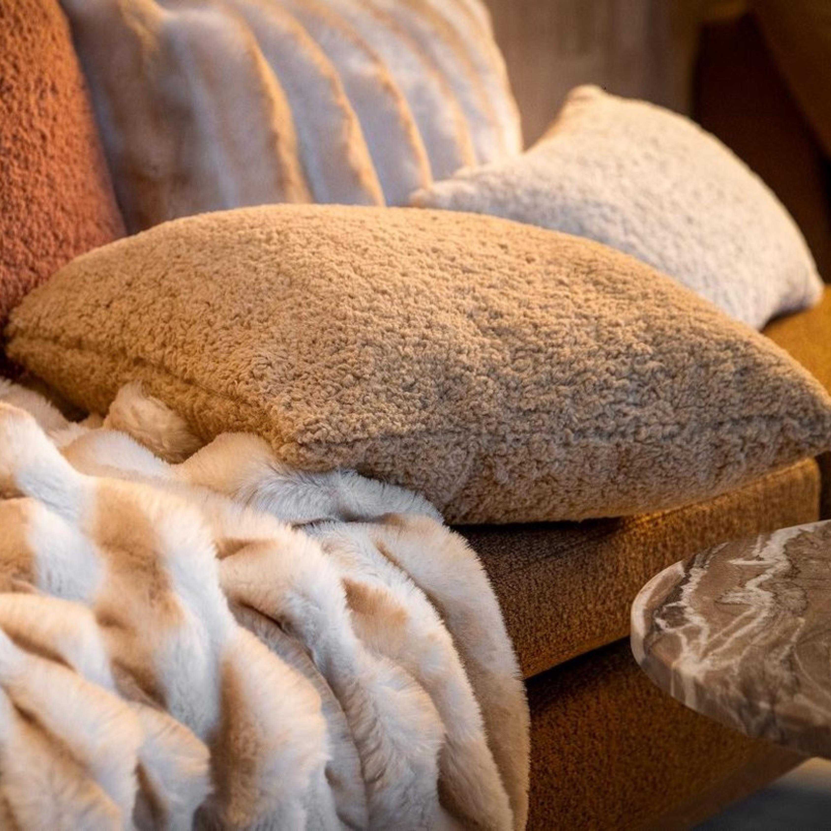 000642000131_HauptbildMilieu-1732635784085