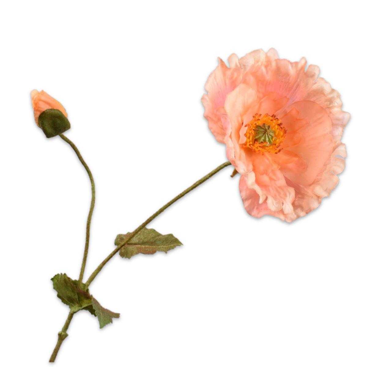 000645000401_HauptbildFreigestellt-1718349287085force=true