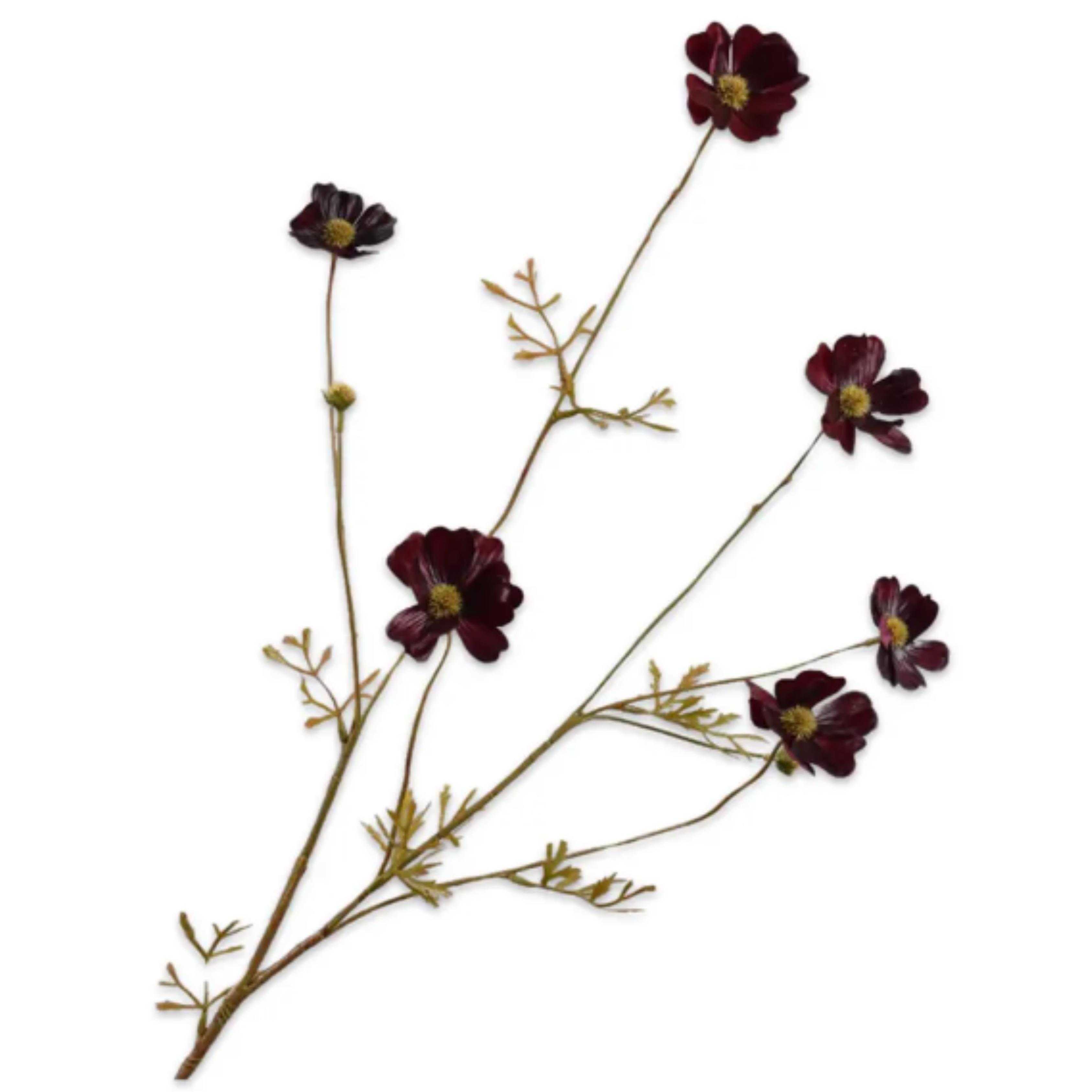 000645000305_HauptbildFreigestellt-1733210547511