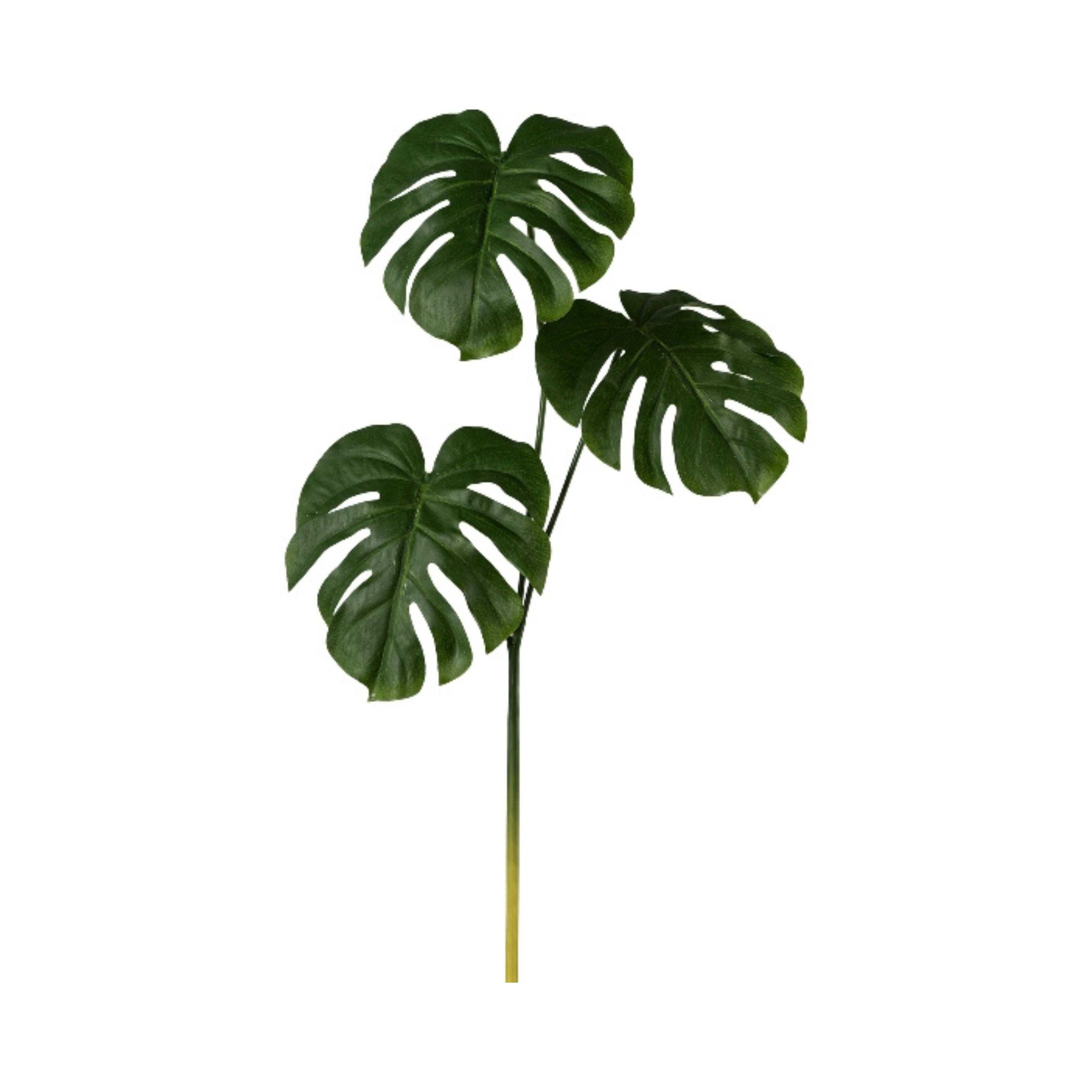 000648000602_HauptbildFreigestellt-1770731259021