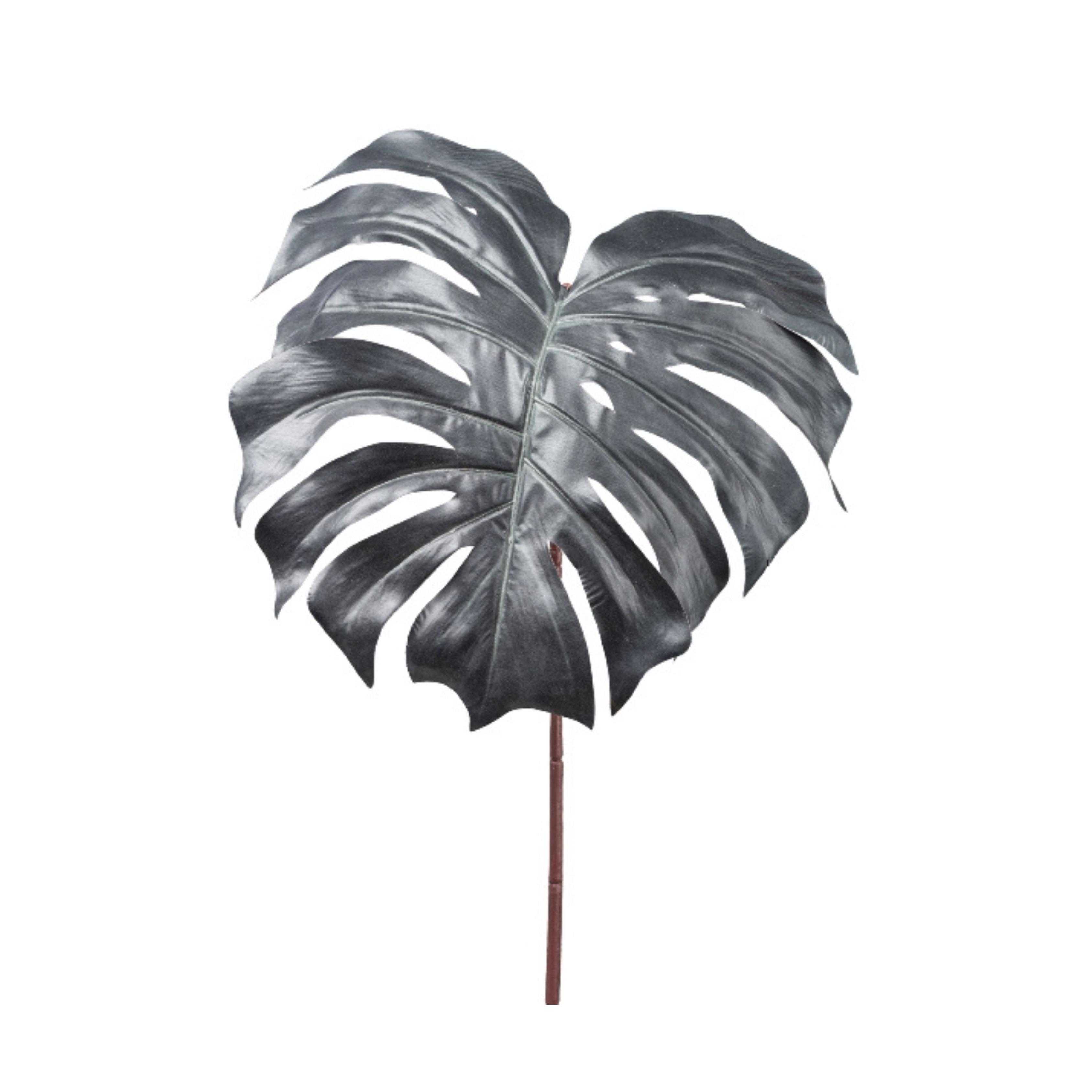 0006480006_HauptbildFreigestellt-1770731256872